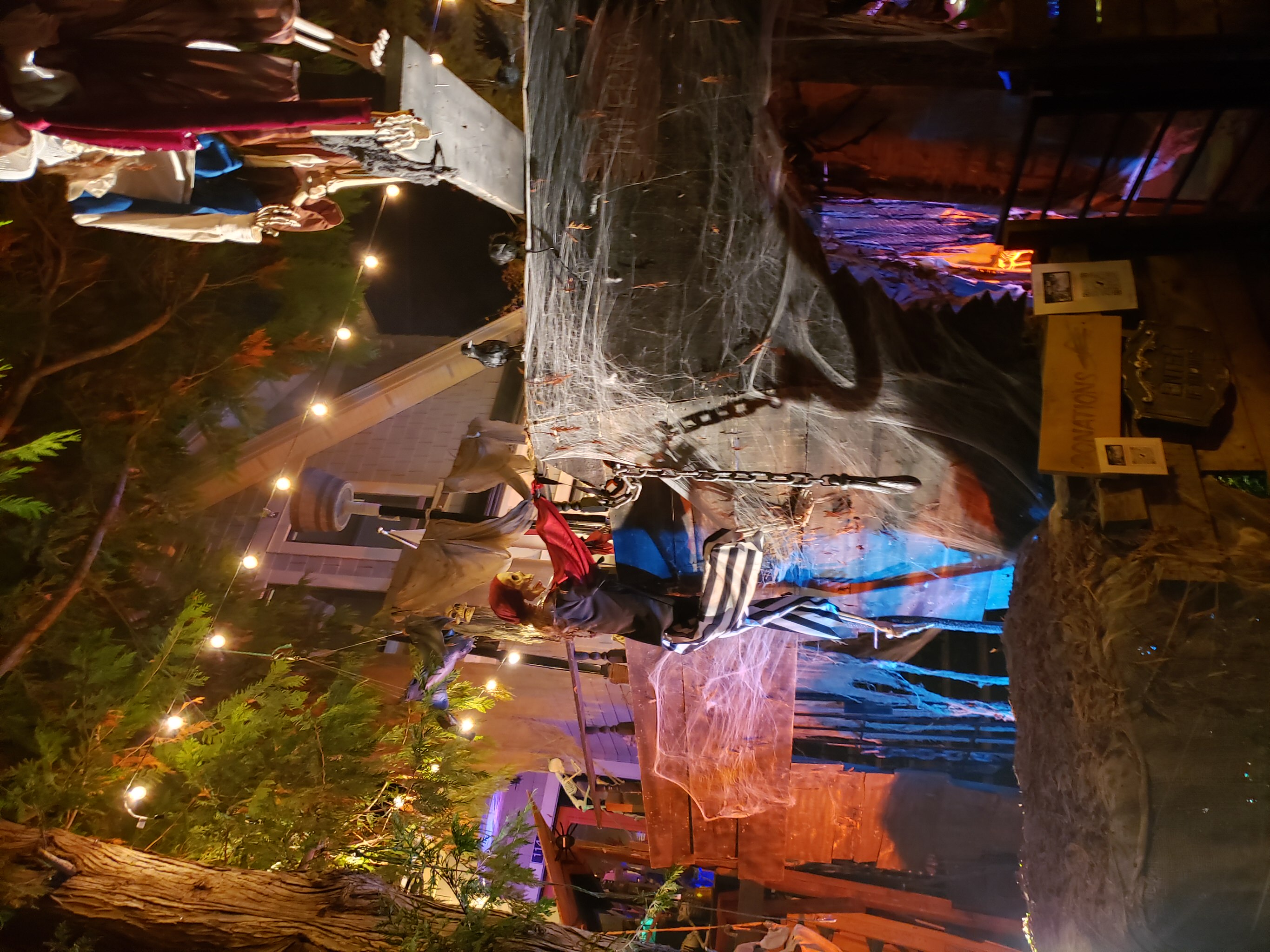 1142 Lily Street Halloween Display