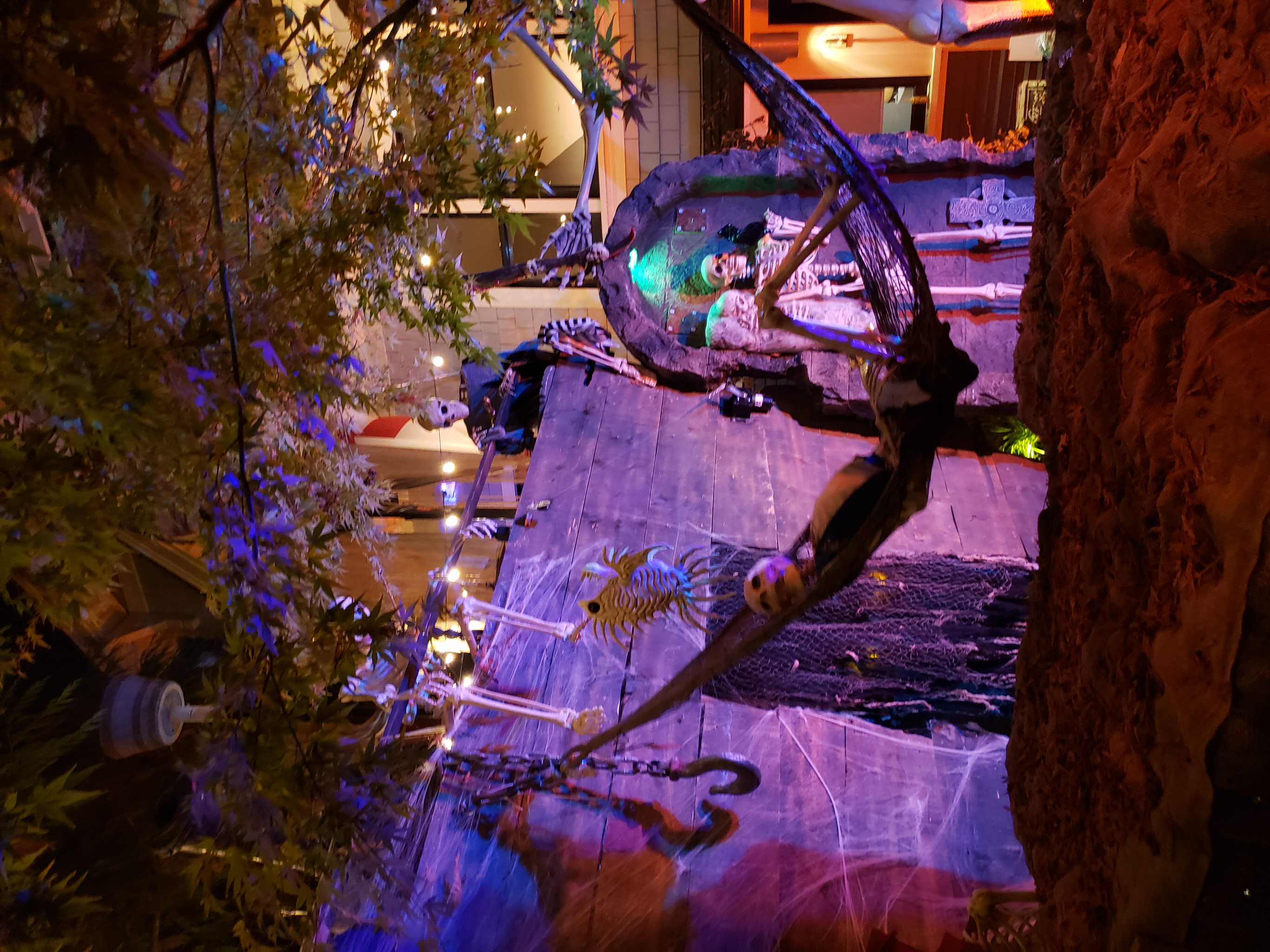 1142 Lily Street Halloween Display