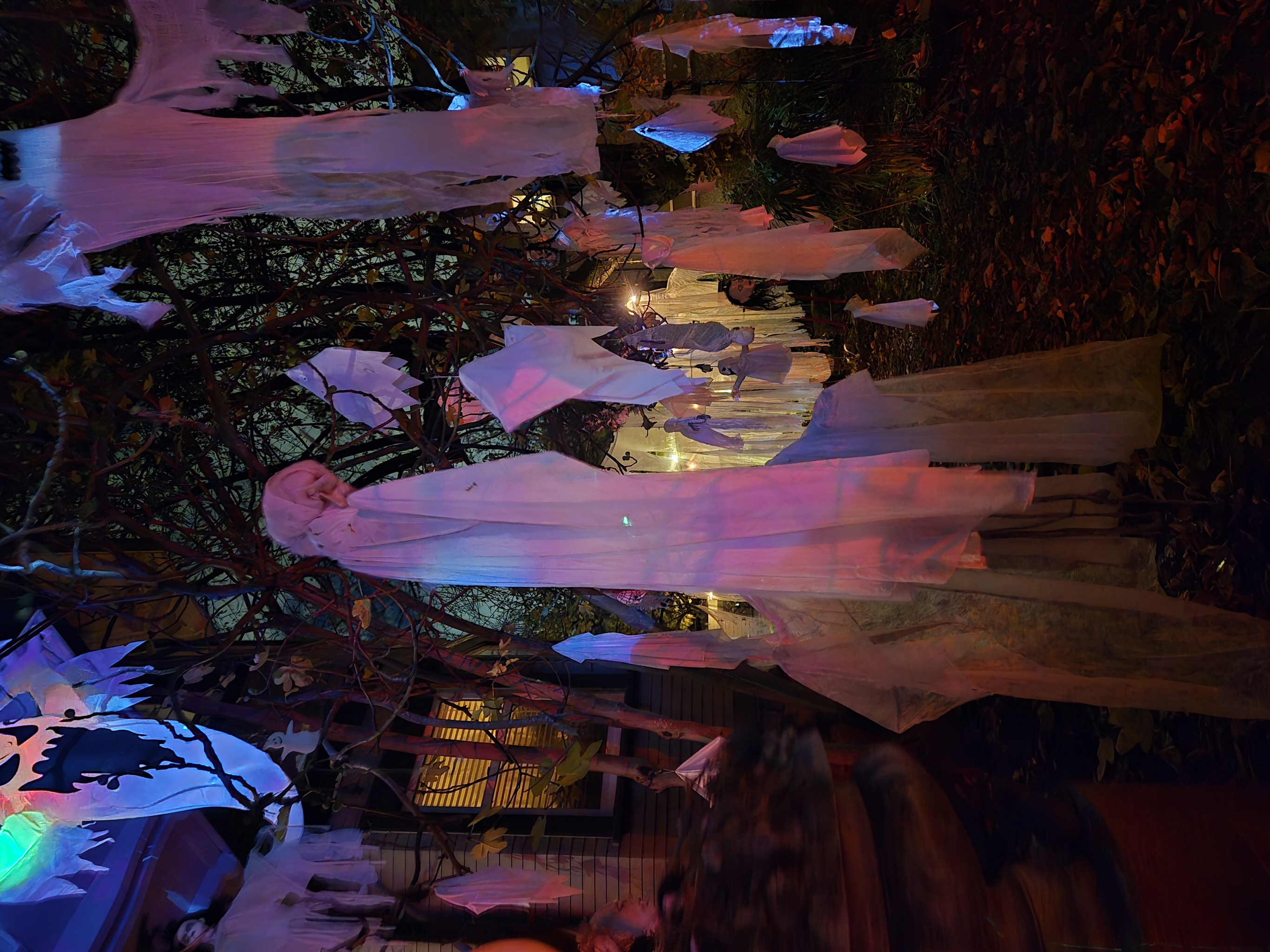 Aberdeen Mansion Halloween Display